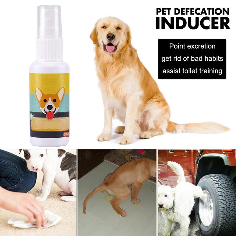 1PCS Dog Potty Train Spray Por - Travel Accessories In Train recension och pris