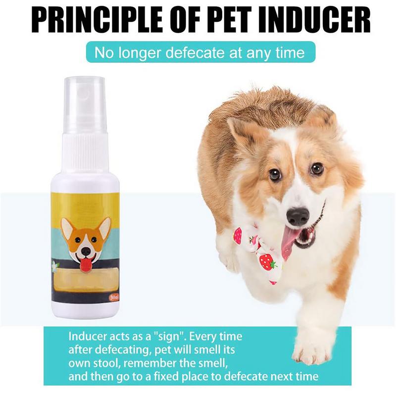 1PCS Dog Potty Train Spray Por - Travel Accessories In Train recension och pris