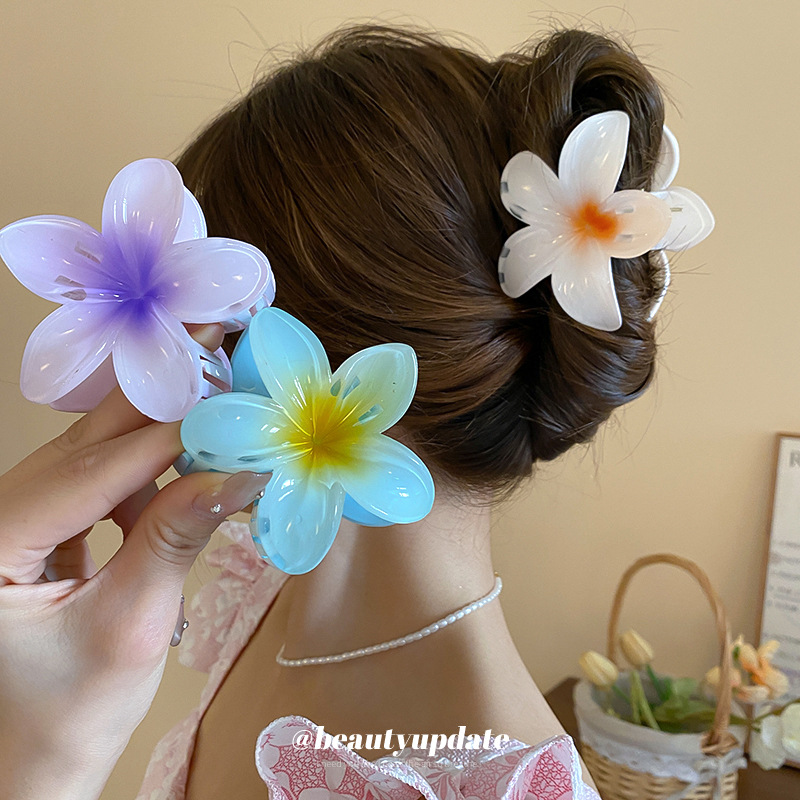Crystal Flower Acrylic Hair Cl - Travel Accessories Hong Kong recension och pris