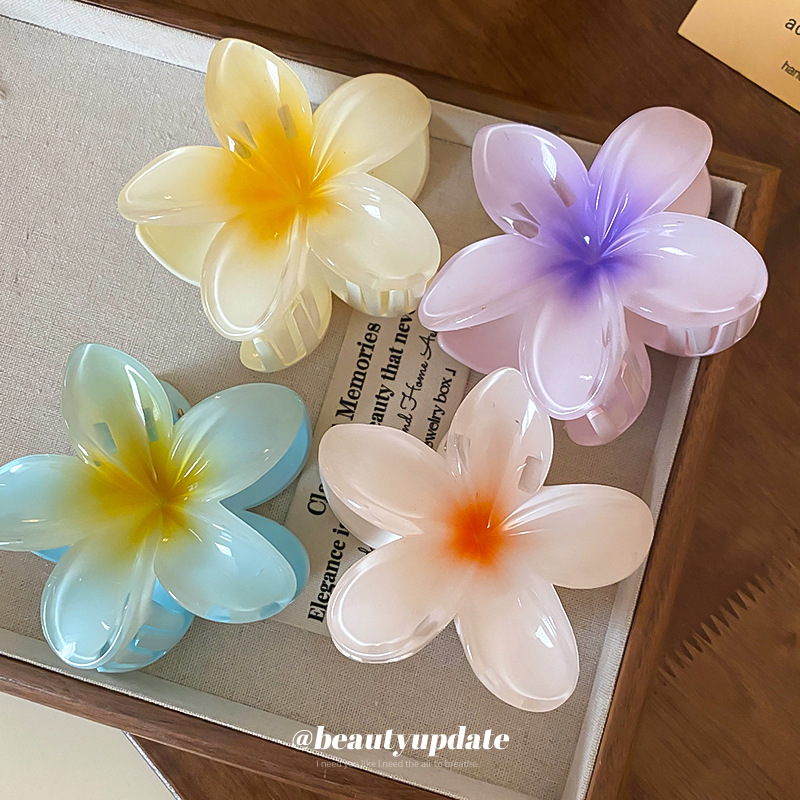 Crystal Flower Acrylic Hair Cl - Travel Accessories Hong Kong recension och pris