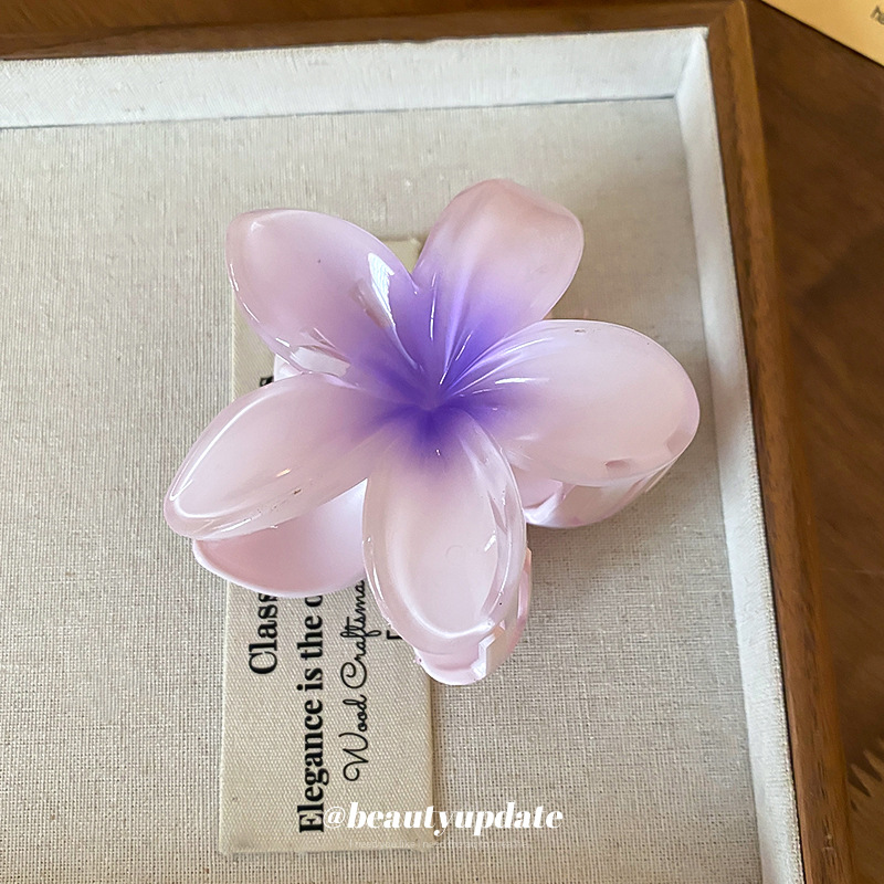 Crystal Flower Acrylic Hair Cl - Travel Accessories Hong Kong recension och pris