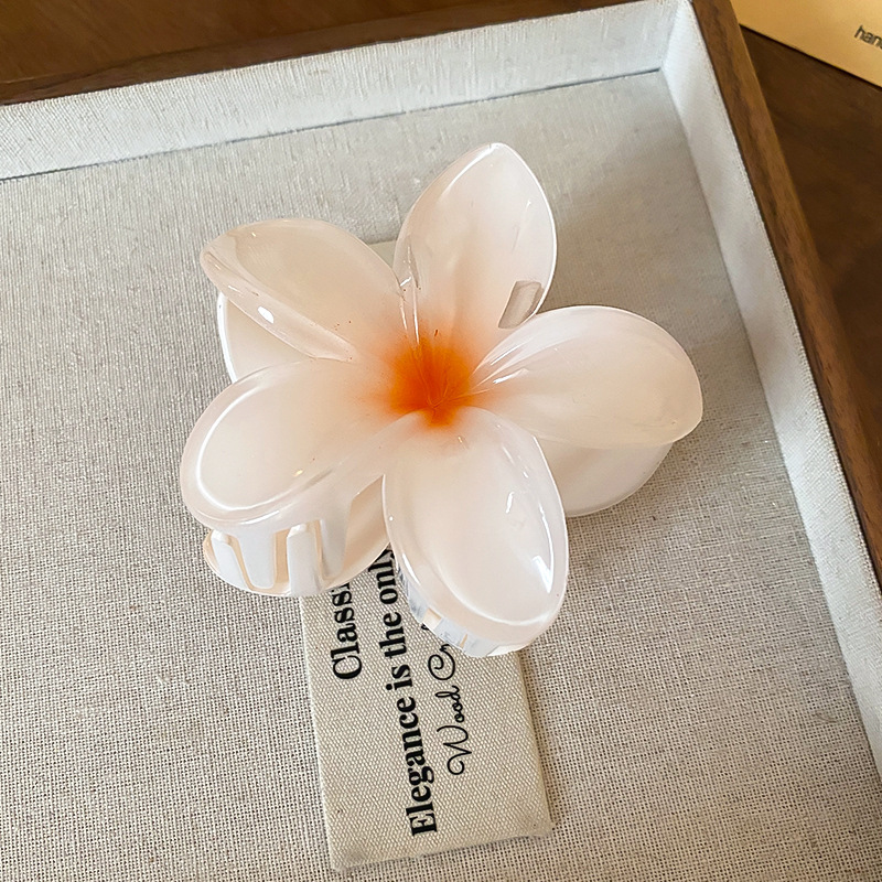 Crystal Flower Acrylic Hair Cl - Travel Accessories Hong Kong recension och pris